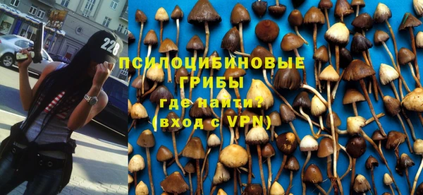 наркотики Сясьстрой