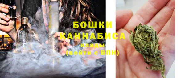 ешки Аркадак